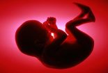 بررسی احکام فقهی و حقوقی حمل و جنین