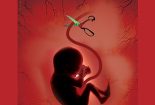 بررسی احکام سقط جنین یا سقط حمل