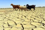 احصای قوانین مؤثر در بروز خشک‌سالی