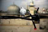 پیامهای امارات، لبنان، بحرین و مغرب به مناسبت روز همبستگی با فلسطین