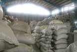 واردات غیرقانونی برنج به ایران تأیید شد