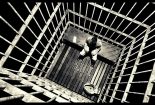 نقش تعدیل کننده تعلیق مراقبتی به عنوان کیفر جایگزین زندان