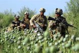 آمریکا و ناتو دست از قاچاق و تجارت مواد مخدر در افغانستان بردارند